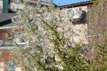 Maisonette