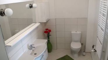 Апартаменты с 1 спальней