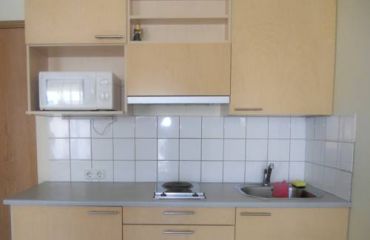 Studio Apartment - Vingrių g. 13